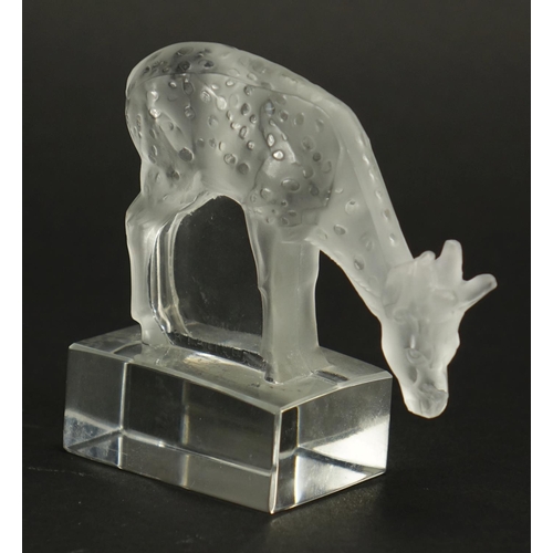 515 - R Lalique frosted and clear glass deer paperweight, moulded R Lalique, 8.5cm high