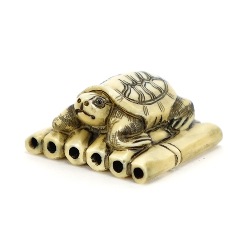 421 - Japanese carved ivory netsuke of a tortoise, character marks to the base, 3.9cm wide