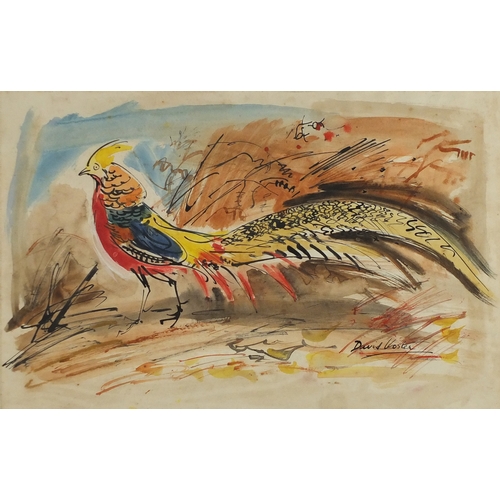 944 - David Koster - Golden Pheasant, ink and watercolour, label verso, mounted and framed, 45.5cm x 29cm