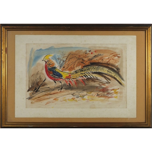 944 - David Koster - Golden Pheasant, ink and watercolour, label verso, mounted and framed, 45.5cm x 29cm