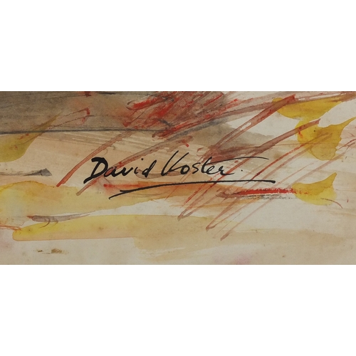 944 - David Koster - Golden Pheasant, ink and watercolour, label verso, mounted and framed, 45.5cm x 29cm