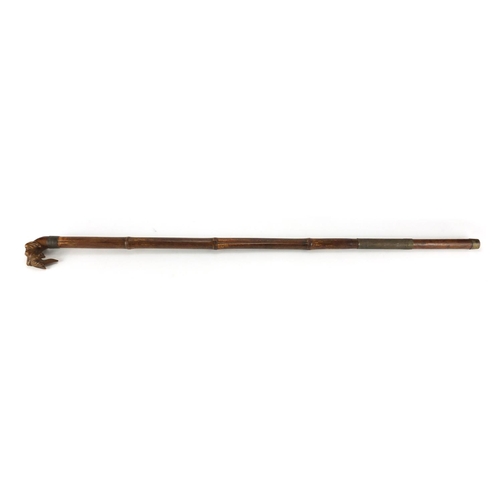 289 - Bamboo walking cane, with carved dogs head handle, 97cm in length