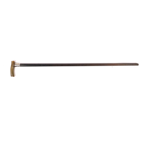 285 - Ebonised walking stick with horn handle and silver collar, Birmingham hallmarked, 85cm in length