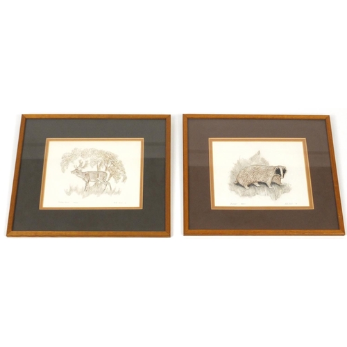 139 - Peter Hicks - Set of four limited edition embossed paper pictures of animals, each mounted and frame... 