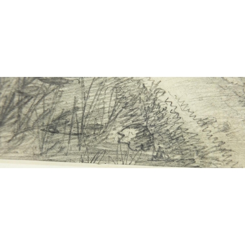 926 - De Angle Barmes - Tabrey Estate Dominica, pencil, labels verso, mounted and framed, 34cm x 23cm