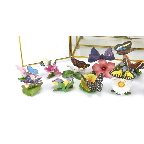65 - Franklin porcelain hand painted butterflies collection with display case