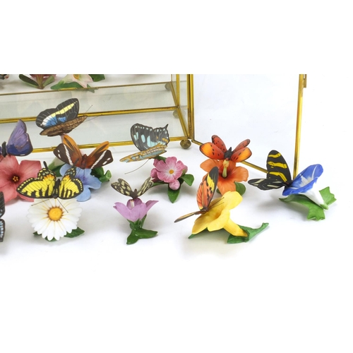 65 - Franklin porcelain hand painted butterflies collection with display case