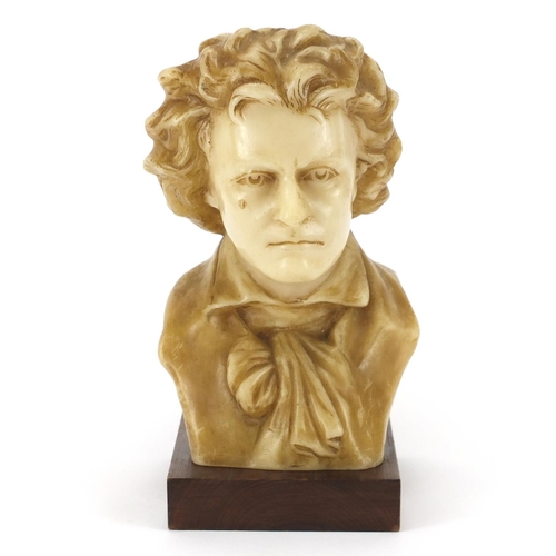 2068 - Wax bust of Beethoven raised on a rectangular mahogany block base, 28cm high