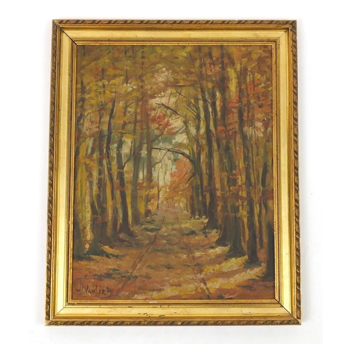435 - Path through woodland, oil on board, bearing a signature J. Vanliett, framed, 45cm x 35cm