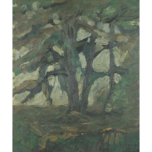 2213 - Study of a tree, impasto oil on canvas, bearing an indistinct signature possibly Turbact, mounted an... 