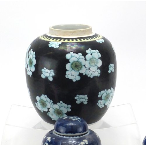 274 - Eight Chinese porcelain ginger jars, including a large example hand painted with prunus flowers and ... 