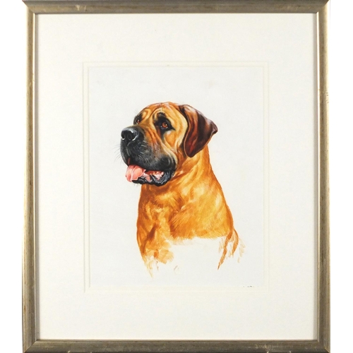 968 - Bryan Bysouth - Bullmastiff, acrylic, mounted and framed, 24cm x 19cm