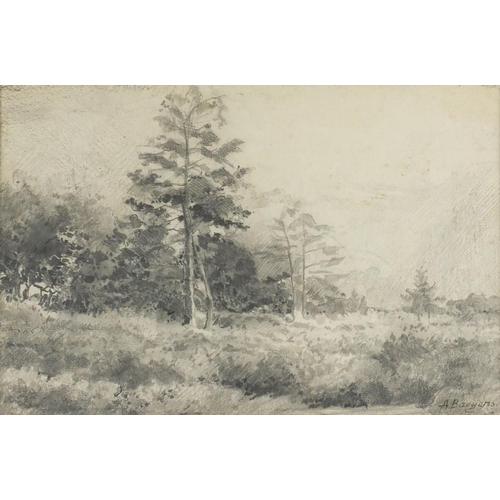 917 - Adolf Baeyens - Landscape, pencil on paper, label verso, mounted and framed, 32cm x 21.5cm