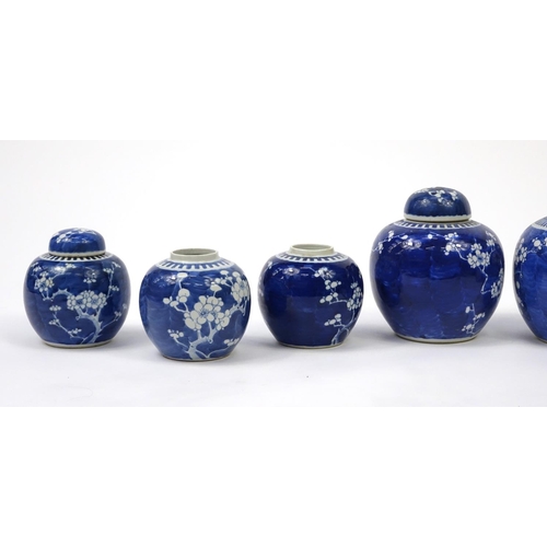 275 - Eight Chinese porcelain ginger jars, four with covers including seven blue and white hand painted wi... 