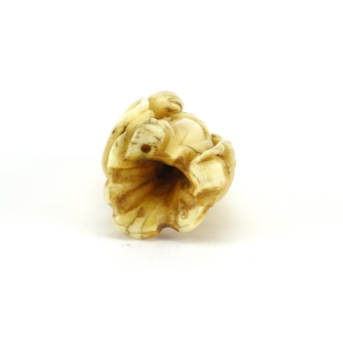 354 - Japanese carved ivory Netsuke of an elder holding a staff and fruit, 5cm high