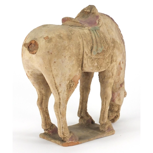 2241 - Chinese Tang style pottery horse, 27cm high