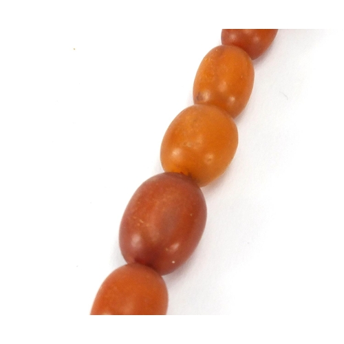 758 - Butterscotch amber coloured bead two row necklace, 40cm in length, approximate weight 32.6g