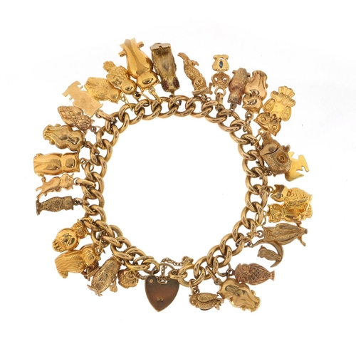647 - Good 9ct gold charm bracelet with a large selection of mostly gold owl charms including 18ct, 14ct a... 