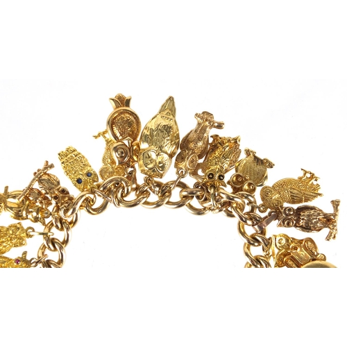 637 - Good 9ct gold charm bracelet with a large selection of mostly gold owl charms including 18ct, 14ct a... 