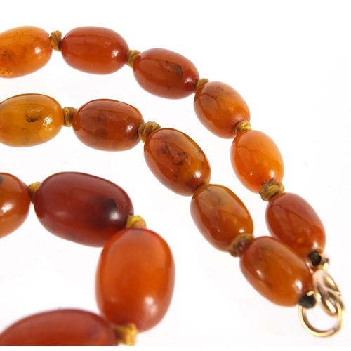 761 - Butterscotch amber coloured graduated bead necklace, 44cm in length, approximate weight 23.8g
