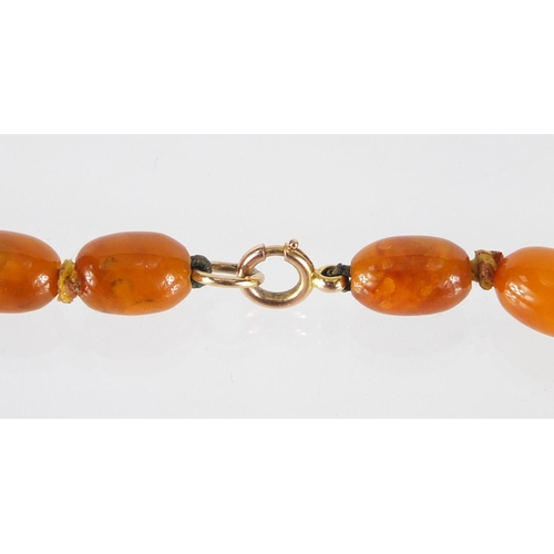 761 - Butterscotch amber coloured graduated bead necklace, 44cm in length, approximate weight 23.8g