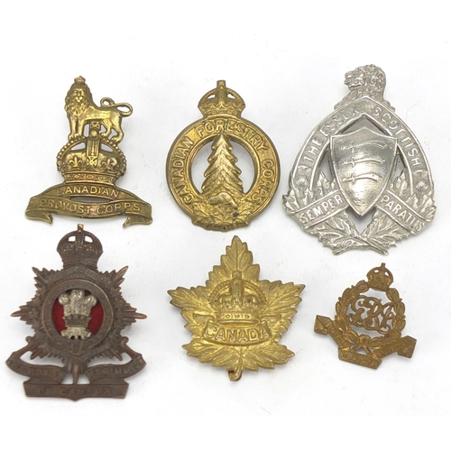 743 - Military interest cap badges including Canadian Forestry Corps and Indian Medical Department
