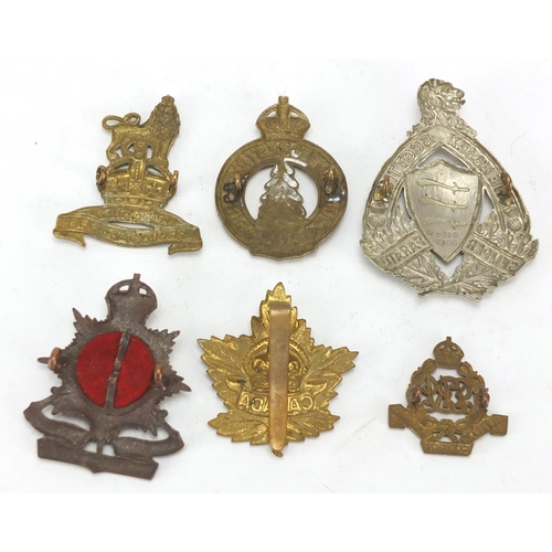 743 - Military interest cap badges including Canadian Forestry Corps and Indian Medical Department