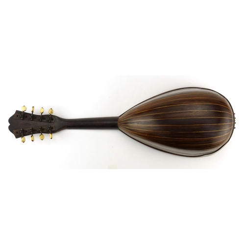 2091 - Italian mandolin by E Pedrazzoli, paper label to the interior, 60cm in length