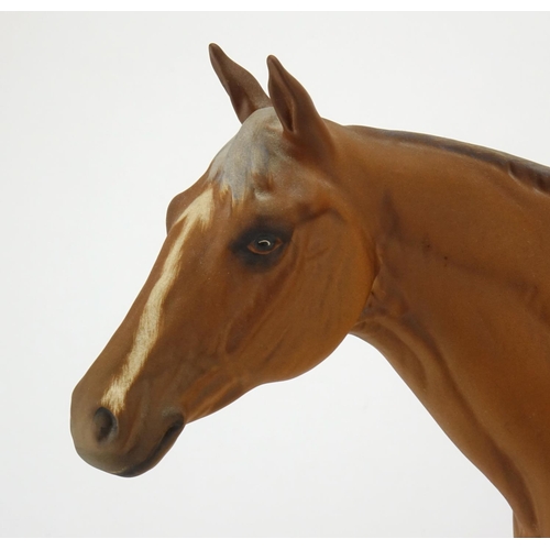 2177 - Beswick model of Grundy, racehorse of the year, raised on an oval wood stand, 29cm high
