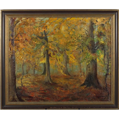 893 - Wooded landscape in autumn, late 19th century Russian school oil on canvas, bearing an indistinct si... 