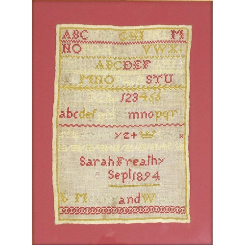 369 - Victorian needlepoint sampler, by Sarah Freathy September 1894, framed, 28cm x 20cm