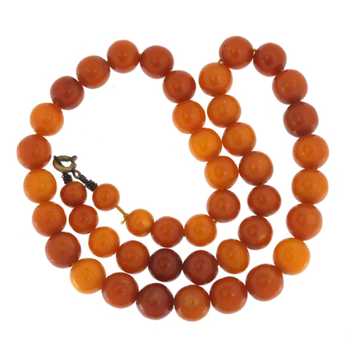 760 - Butterscotch amber coloured bead necklace, 44cm in length, approximate weight 25.6g