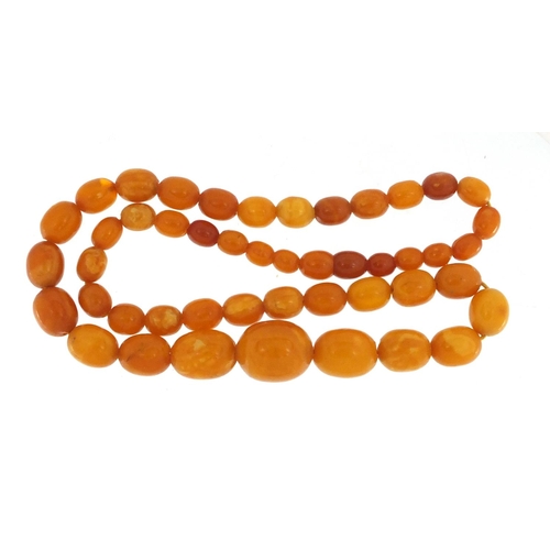 759 - Butterscotch amber coloured graduated bead necklace, 40cm in length, approximate weight 18.5g