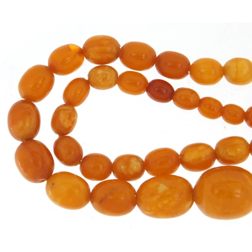 759 - Butterscotch amber coloured graduated bead necklace, 40cm in length, approximate weight 18.5g