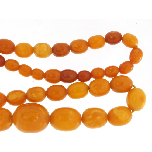 759 - Butterscotch amber coloured graduated bead necklace, 40cm in length, approximate weight 18.5g