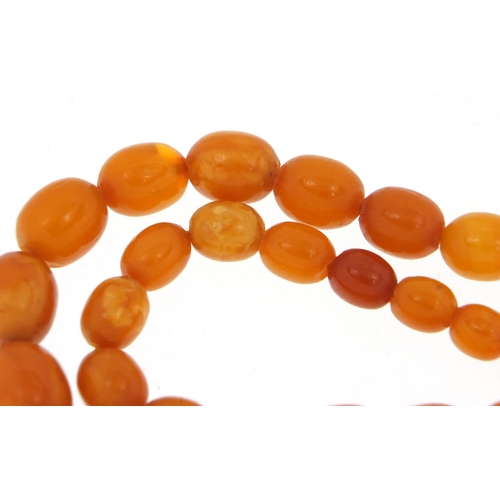 759 - Butterscotch amber coloured graduated bead necklace, 40cm in length, approximate weight 18.5g