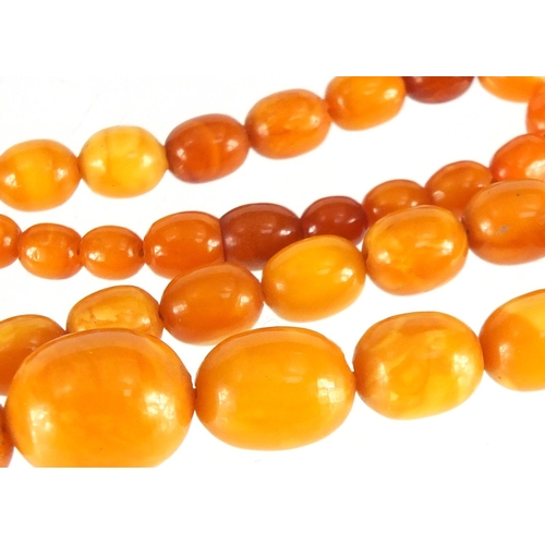 759 - Butterscotch amber coloured graduated bead necklace, 40cm in length, approximate weight 18.5g