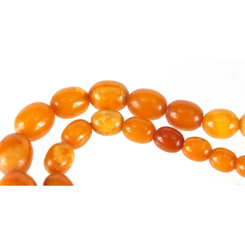 759 - Butterscotch amber coloured graduated bead necklace, 40cm in length, approximate weight 18.5g