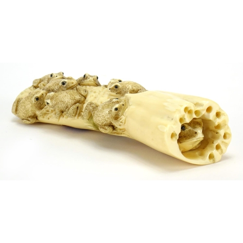 353 - Japanese carved ivory okimono of a group of frogs, character marks to the base, 13.5cm wide