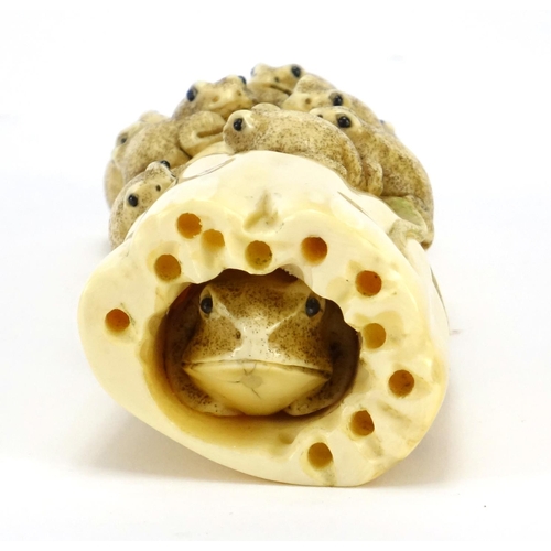 353 - Japanese carved ivory okimono of a group of frogs, character marks to the base, 13.5cm wide