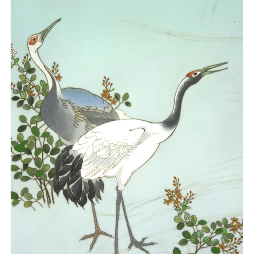 2303 - Japanese cloisonné plate, enamelled with two storks, impressed marks to the reverse, 30cm in diamete... 