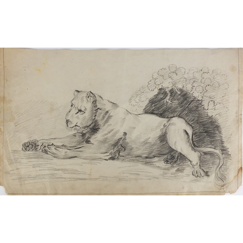 1015 - Recumbent lioness, pencil sketch on paper, bearing a signature possibly Mids 1813, unframed, 44cm x ... 