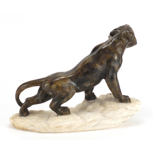 2311 - Pottery model of a puma of naturalistic base, 42cm wide