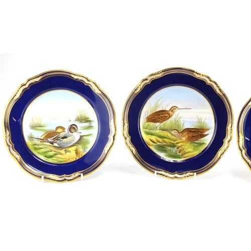 2113 - Three Spode hand painted game bird plates and a Royal Crown Derby Golden Oriole, each plate 23.5cm i... 