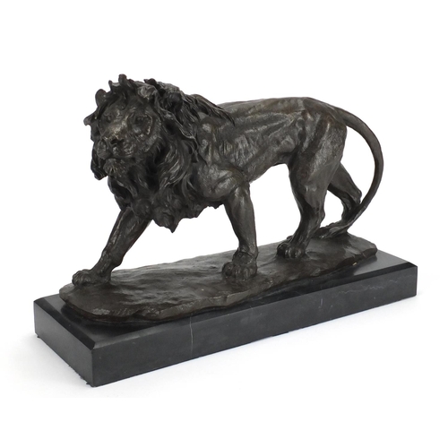 2312 - Large patinated bronze study of a lion, raised on a rectangular black marble base, 43cm wide
