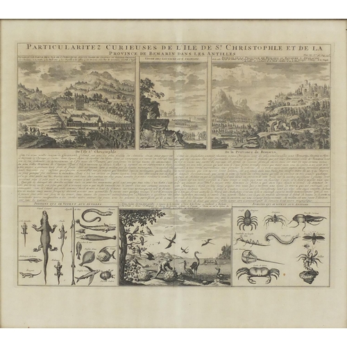 405 - Antique French Province De Bemarin Dans Les Antilles (print of Antilles 1750) framed 54cm x 48cm