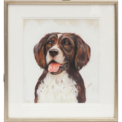 450 - Smiling spaniel with brown eyes, acrylic, mounted and framed, 26.5cm x 22.5cm