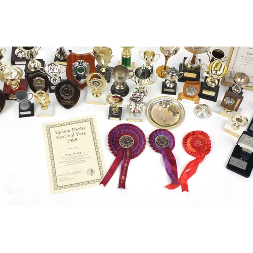 231 - Large collection of trophy's including some silver plate