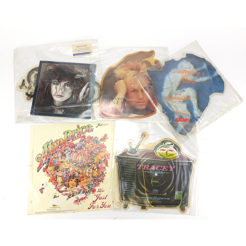 912 - Vinyl picture records including Howard Jones, Meatloaf and Tracey Ullman