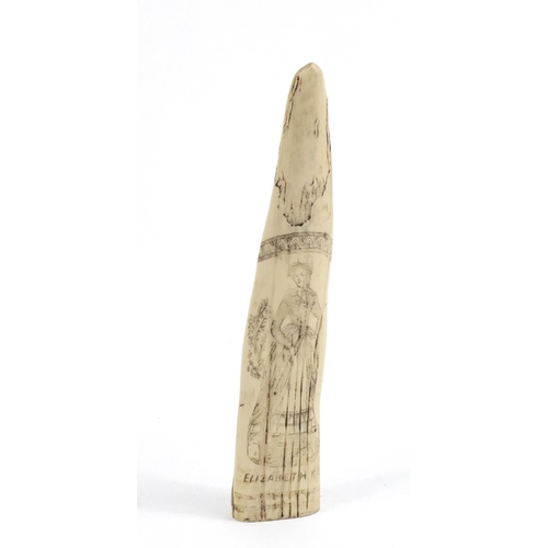 612 - Scrimshaw style tusk, 28cm in length